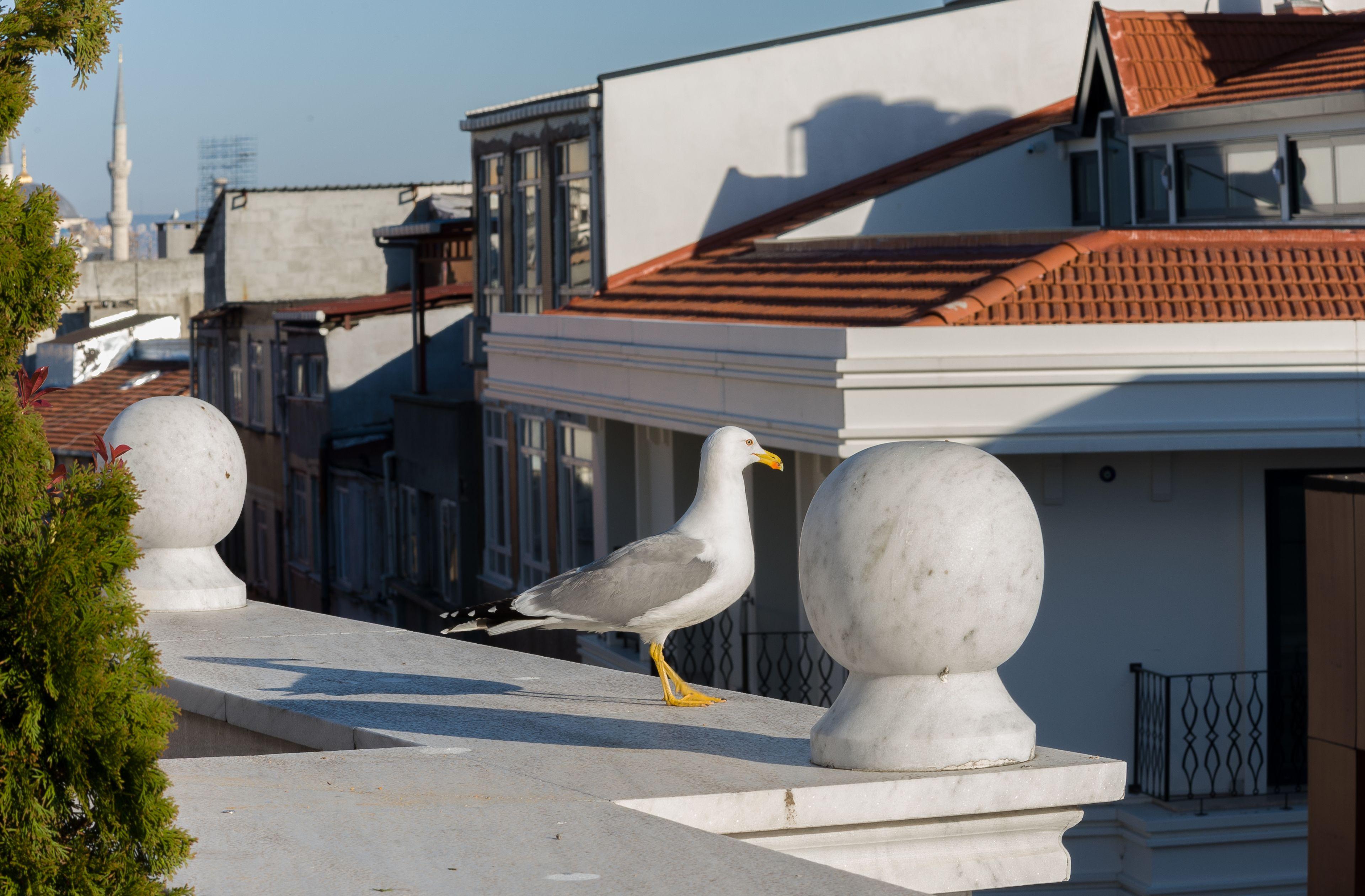 Bizim Hotel — Fotoğraflar 2